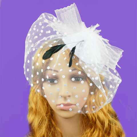 Elegant Veil Feather Fascinator